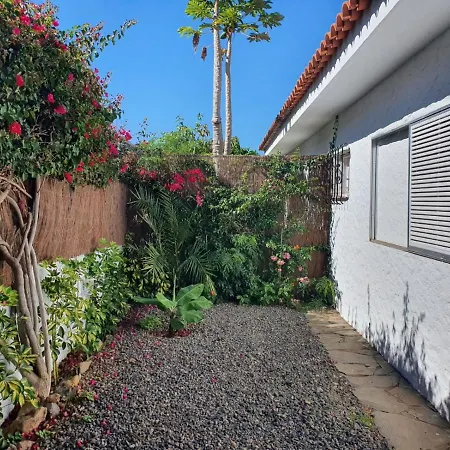 Cozy And Intimate In Puerto de la Cruz (Tenerife)