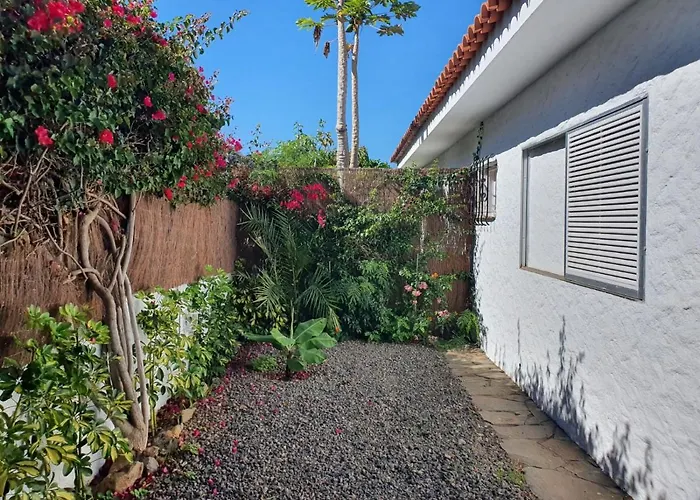 Cozy And Intimate In Puerto de la Cruz (Tenerife)